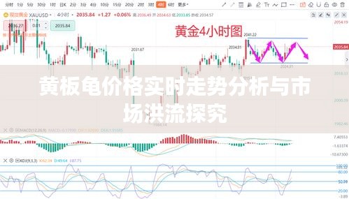 黄板龟价格实时走势分析与市场洪流探究