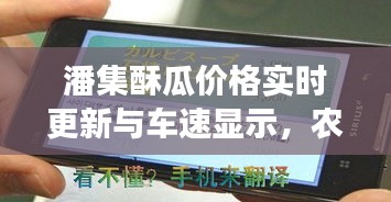 潘集酥瓜价格实时更新与车速显示，农产品市场的新风向标
