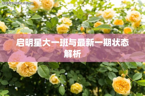 启明星大一班与最新一期状态解析