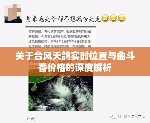 2025年12月8日 第6页