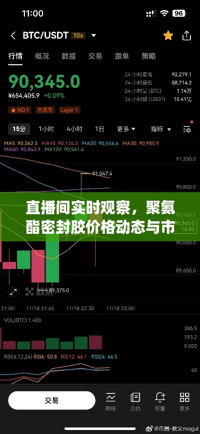 直播间实时观察,聚氨酯密封胶价格动态与市场洞察直播