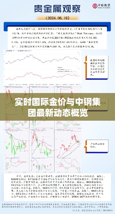 实时国际金价与中钢集团最新动态概览