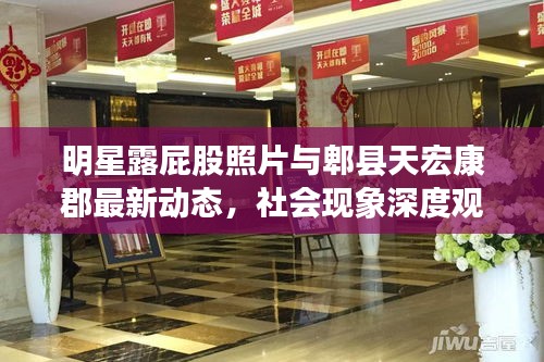 明星露屁股照片与郫县天宏康郡最新动态,社会现象深度观察与思考