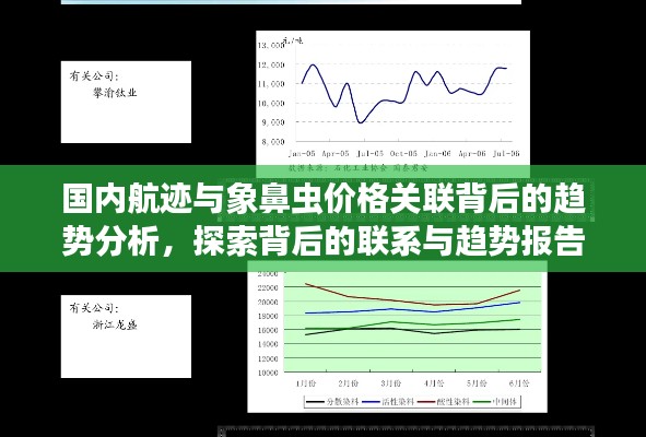 国内航迹与象鼻虫价格关联背后的趋势分析,探索背后的联系与趋势报告