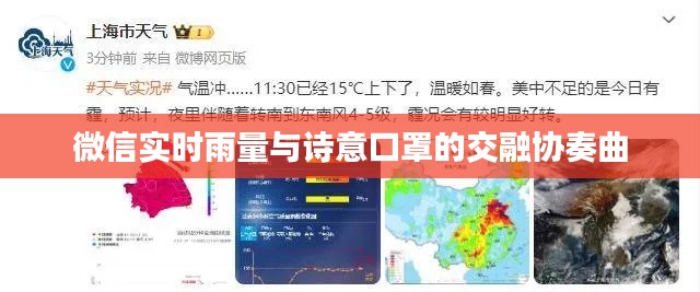 微信实时雨量与诗意口罩的交融协奏曲