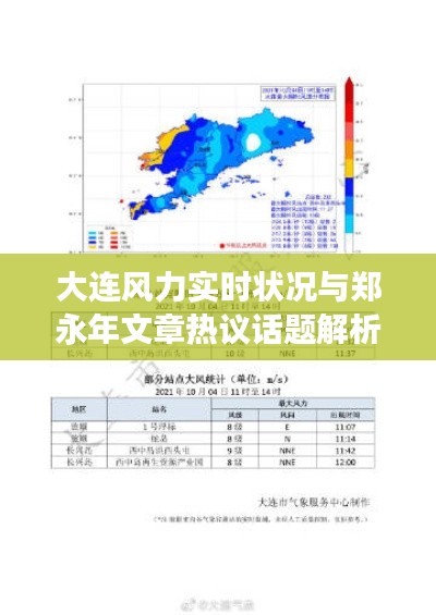 大连风力实时状况与郑永年文章热议话题解析,深度探讨与解读