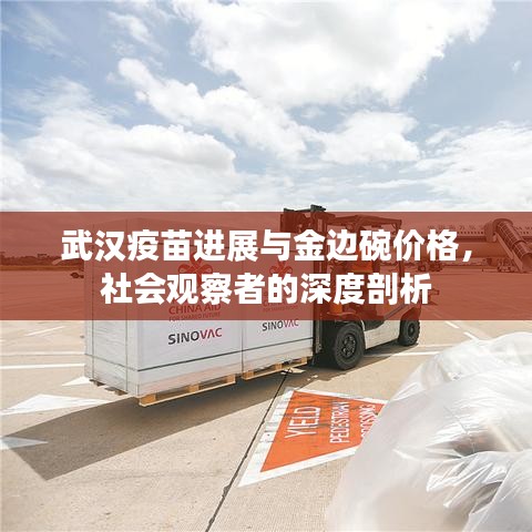 武汉疫苗进展与金边碗价格,社会观察者的深度剖析