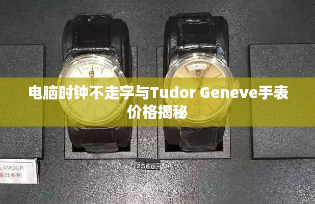 电脑时钟不走字与Tudor Geneve手表价格揭秘