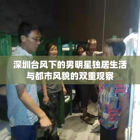 深圳台风下的男明星独居生活与都市风貌的双重观察