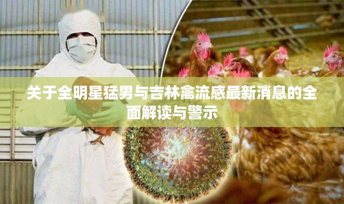 关于全明星猛男与吉林禽流感最新消息的全面解读与警示