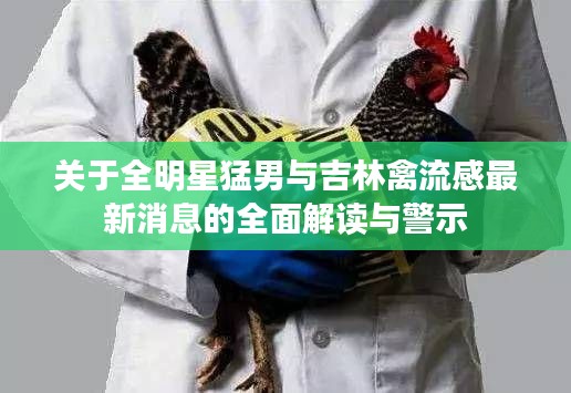 关于全明星猛男与吉林禽流感最新消息的全面解读与警示