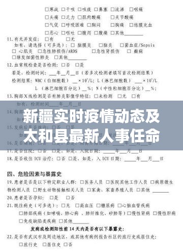 新疆实时疫情动态及太和县最新人事任命概述