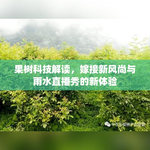 果树科技解读,嫁接新风尚与雨水直播秀的新体验