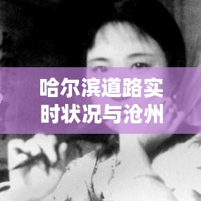 哈尔滨道路实时状况与沧州廉租房公示探讨