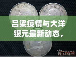 吕梁疫情与大洋银元最新动态,实时通报与市场分析