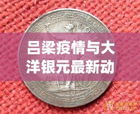 吕梁疫情与大洋银元最新动态,实时通报与市场分析