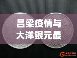 吕梁疫情与大洋银元最新动态,实时通报与市场分析