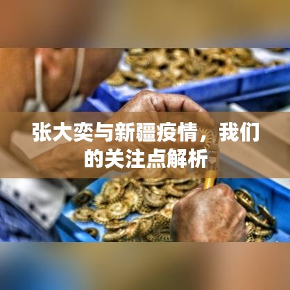 张大奕与新疆疫情,我们的关注点解析