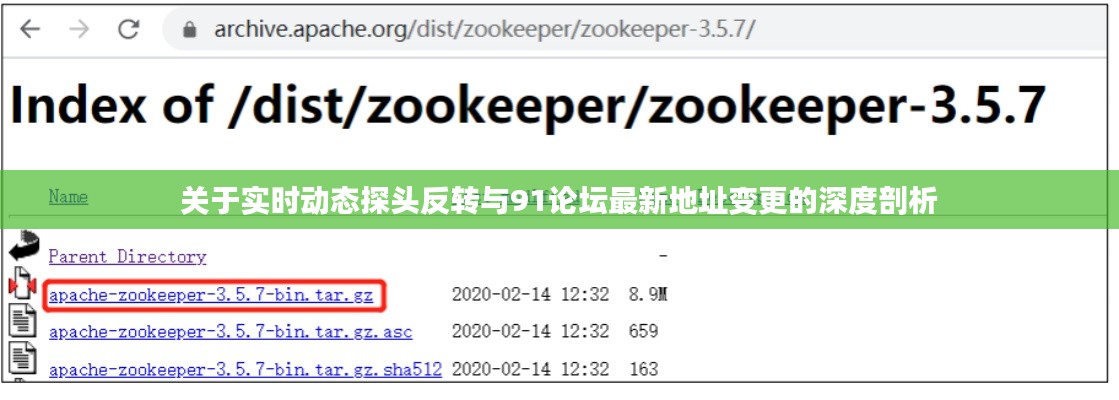 关于实时动态探头反转与91论坛最新地址变更的深度剖析