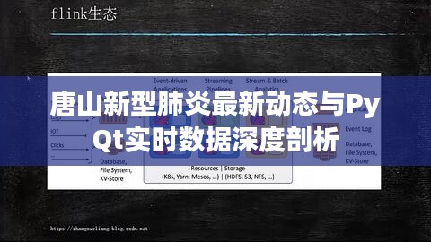 唐山新型肺炎最新动态与PyQt实时数据深度剖析