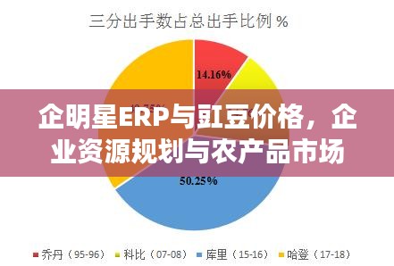 企明星ERP与豇豆价格,企业资源规划与农产品市场趋势的融合解读
