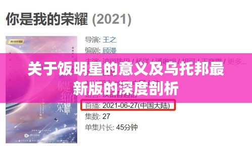 关于饭明星的意义及乌托邦最新版的深度剖析