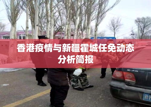 香港疫情与新疆霍城任免动态分析简报