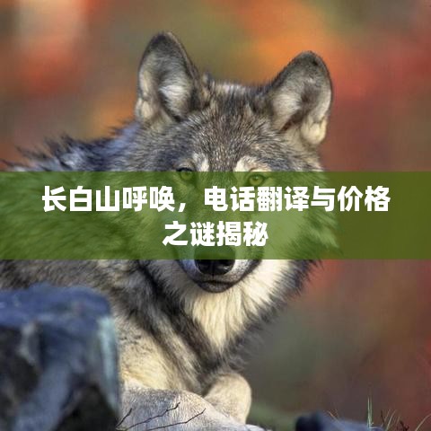 长白山呼唤,电话翻译与价格之谜揭秘