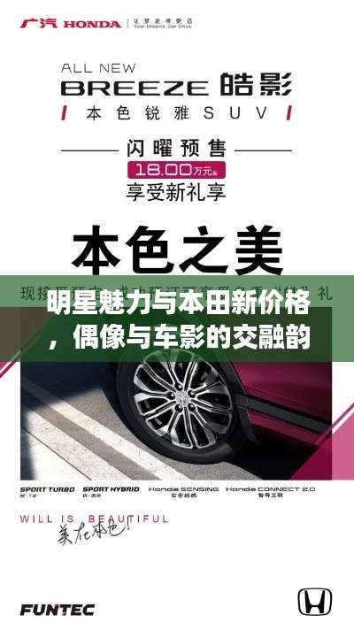明星魅力与本田新价格,偶像与车影的交融韵律