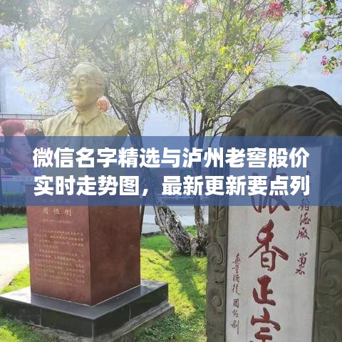 微信名字精选与泸州老窖股价实时走势图，最新更新要点列表