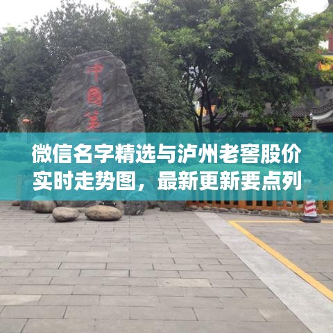 微信名字精选与泸州老窖股价实时走势图,最新更新要点列表