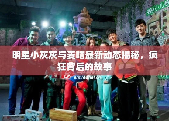明星小灰灰与麦咭最新动态揭秘,疯狂背后的故事
