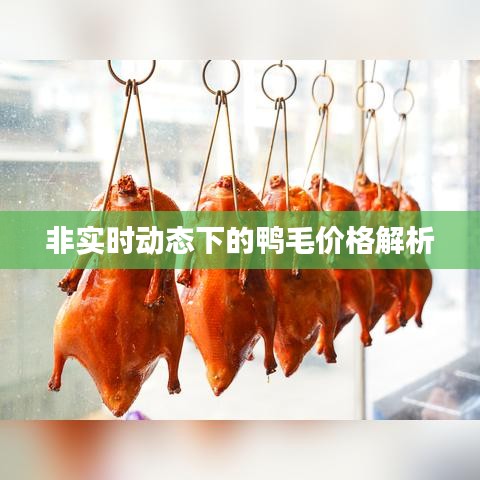 非实时动态下的鸭毛价格解析