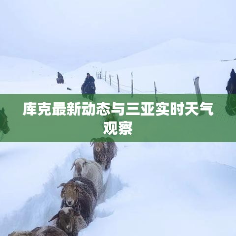 库克最新动态与三亚实时天气观察
