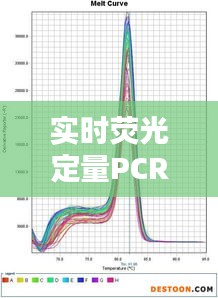 实时荧光定量PCR实验与黄金价格波动关联解析,深圳黄金今日价格探讨