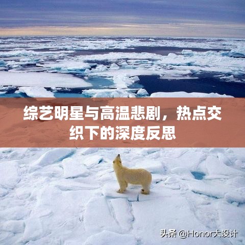 综艺明星与高温悲剧,热点交织下的深度反思