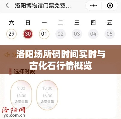 洛阳场所码时间实时与古化石行情概览