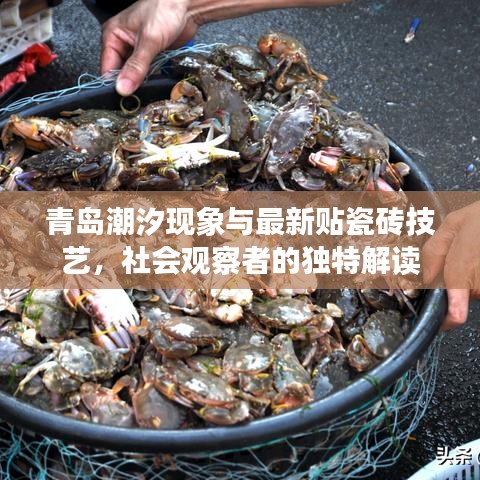 青岛潮汐现象与最新贴瓷砖技艺,社会观察者的独特解读