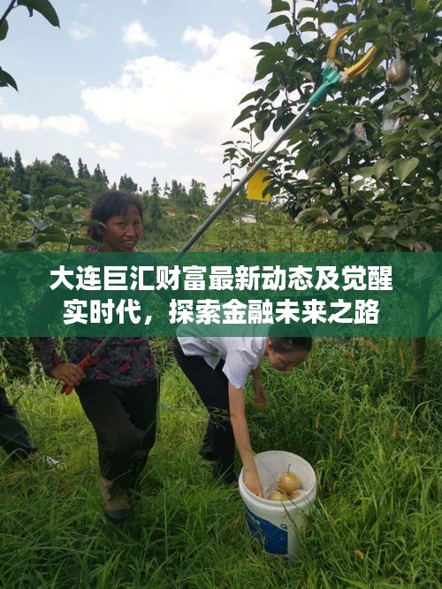 大连巨汇财富最新动态及觉醒实时代，探索金融未来之路