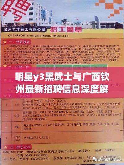明星y3黑武士与广西钦州最新招聘信息深度解析