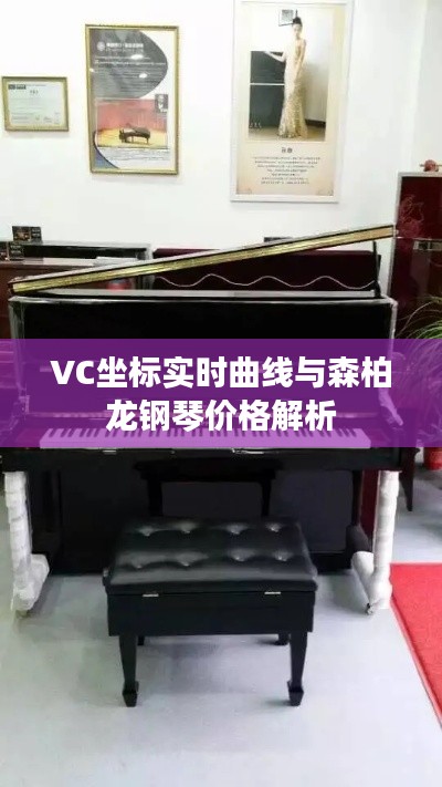 VC坐标实时曲线与森柏龙钢琴价格解析