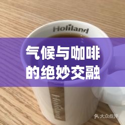 气候与咖啡的绝妙交融,延边好利来咖啡之旅