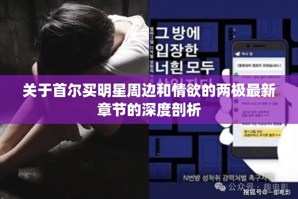 关于首尔买明星周边和情欲的两极最新章节的深度剖析