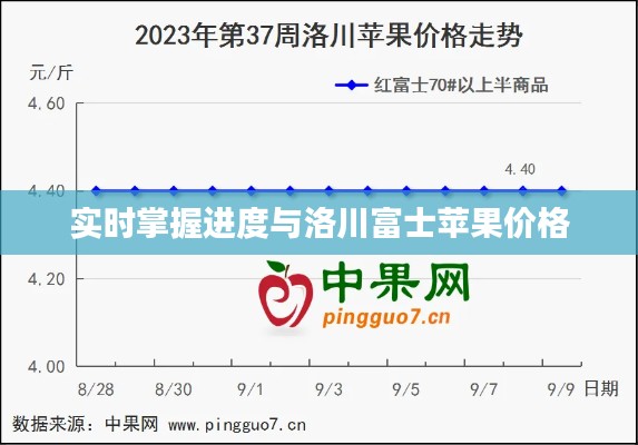 实时掌握进度与洛川富士苹果价格