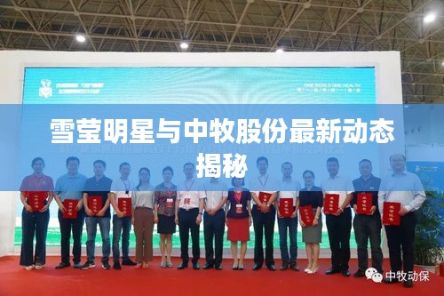 帮助中心 第2页