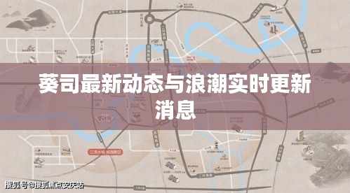 葵司最新动态与浪潮实时更新消息