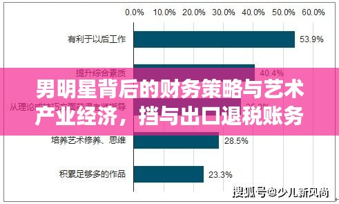 男明星背后的财务策略与艺术产业经济,挡与出口退税账务处理揭秘