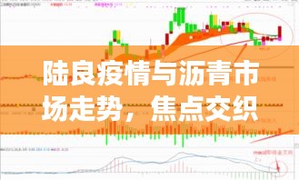 陆良疫情与沥青市场走势,焦点交织的深度解析