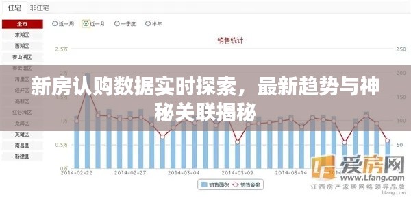 新房认购数据实时探索,最新趋势与神秘关联揭秘