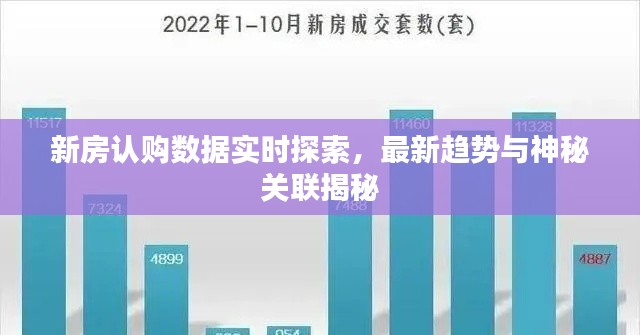 新房认购数据实时探索,最新趋势与神秘关联揭秘
